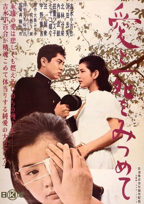 愛と死をみつめて poster