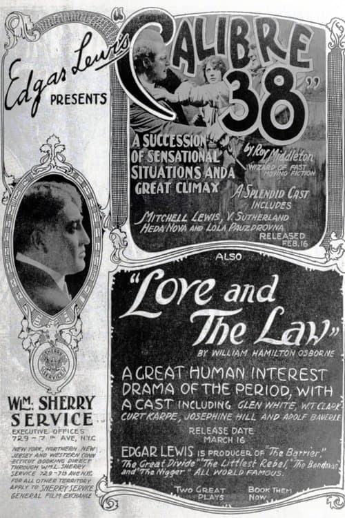 Calibre 38 poster