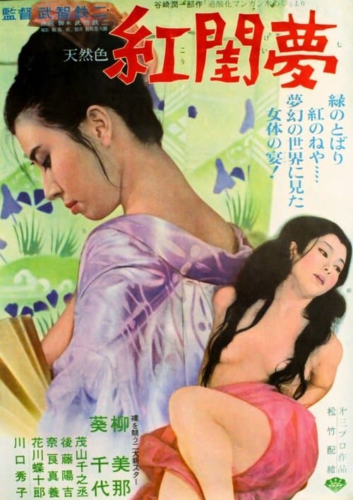 紅閨夢 poster