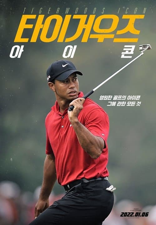 Tiger Woods: Icon poster