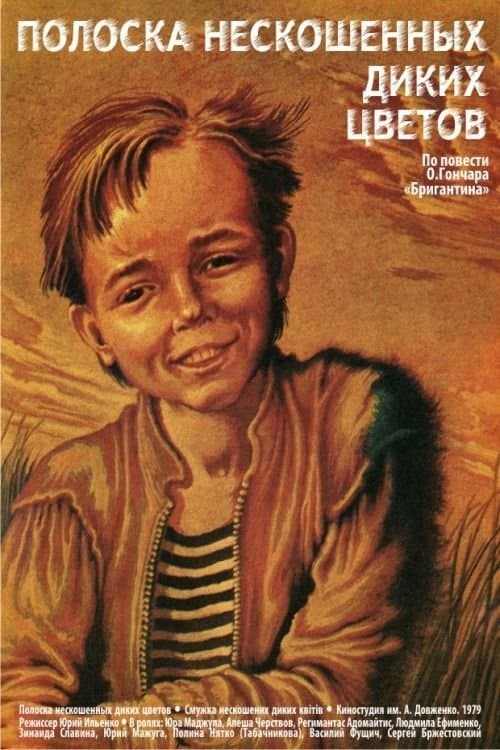 Полоска нескошенных диких цветов poster