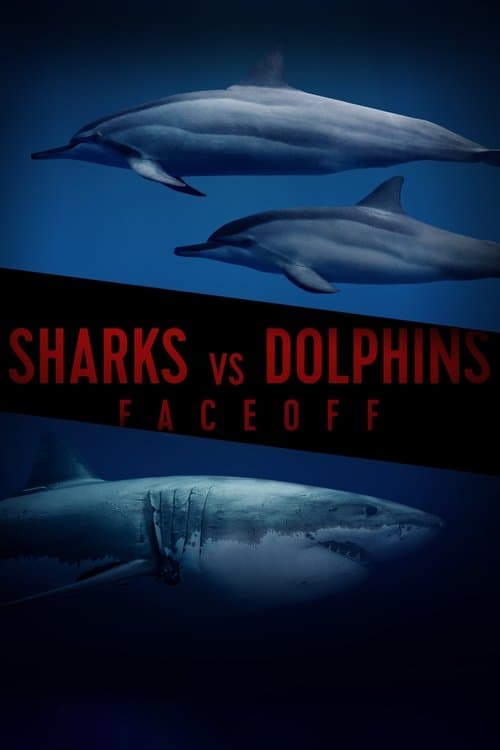 Sharks Vs. Dolphins: Face Off poster