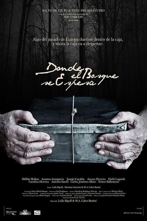 Donde el bosque se espesa poster