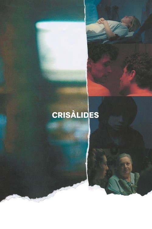 Crisàlides poster