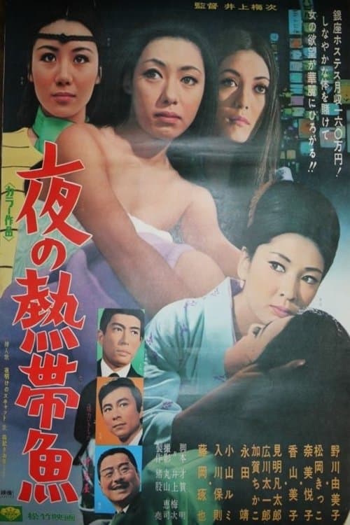 夜の熱帯魚 poster