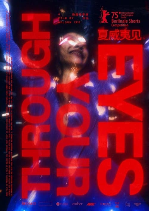 夏威夷见 poster