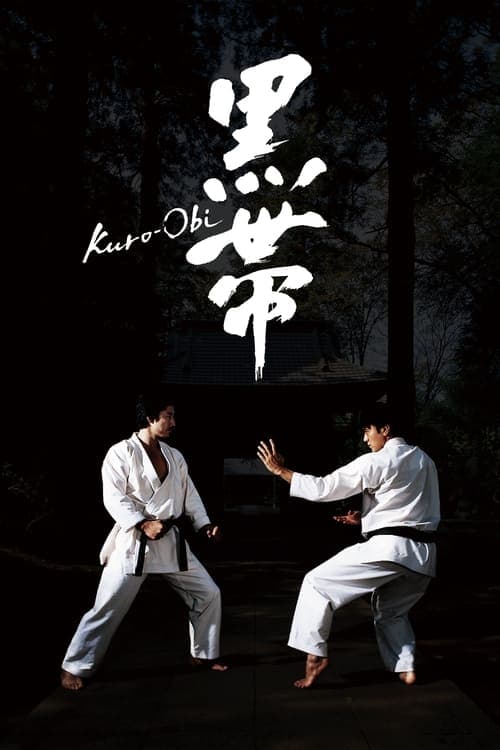 Black Belt poster