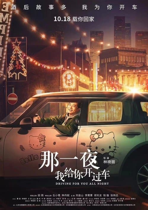 那一夜，我给你开过车 poster