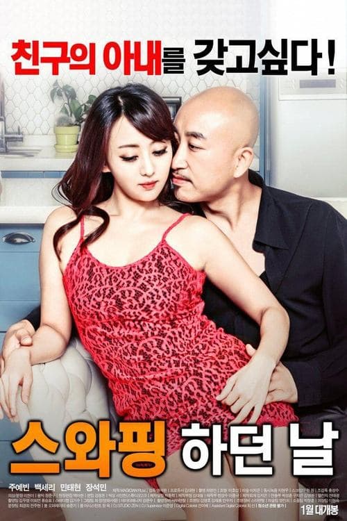 스와핑 하던 날 poster