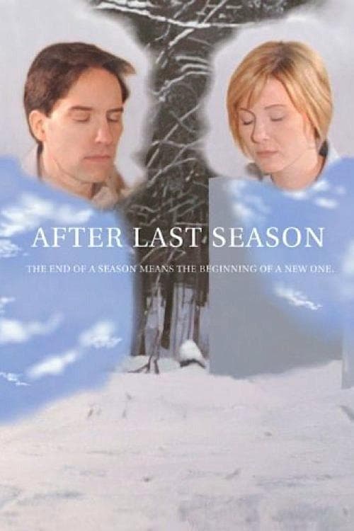 After Last Season poster