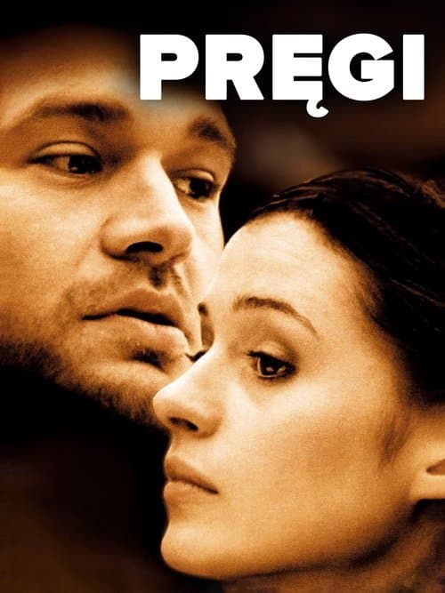 Pręgi poster