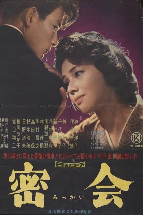 密会 poster