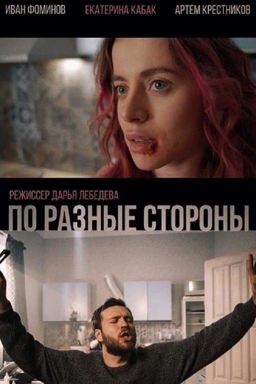 По разные стороны poster