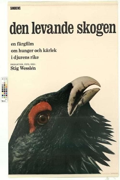 Den levande skogen poster