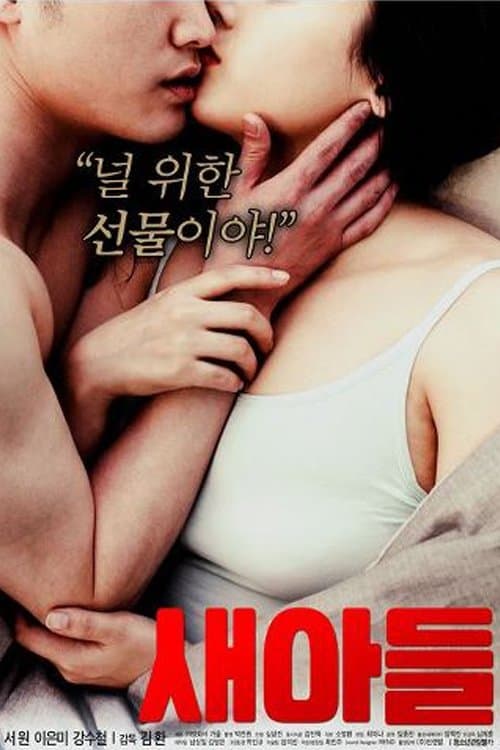 새아들 poster