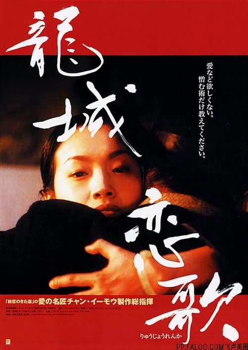 龍城正月 poster