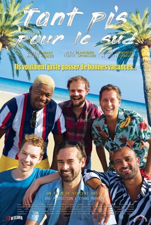 Tant pis pour le sud poster