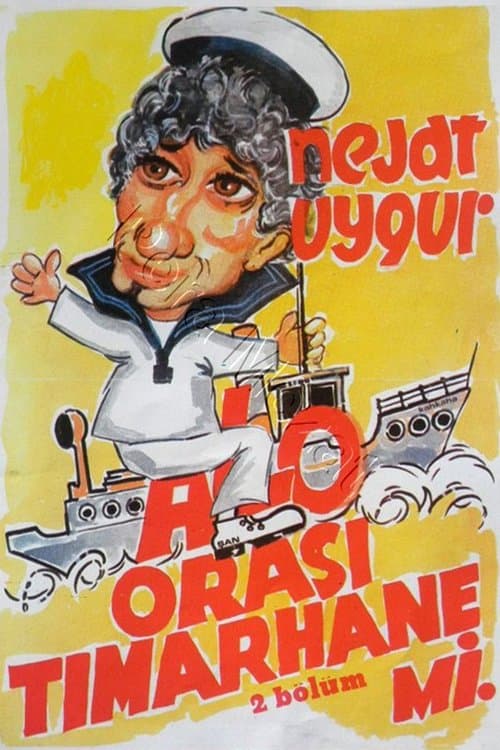 Alo Orası Tımarane mi poster