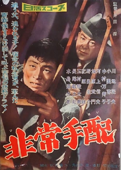非常手配 poster