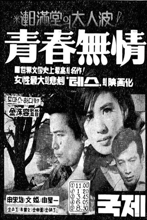 청춘무정 poster