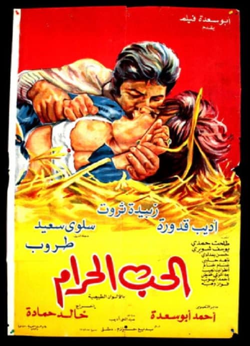 الحب الحرام poster