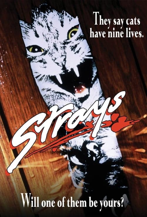 Strays - Blutige Krallen poster