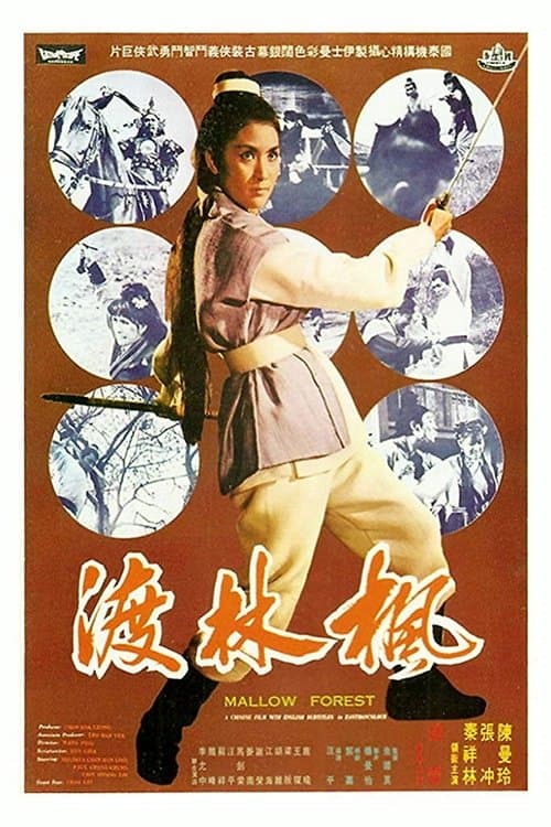 楓林渡 poster