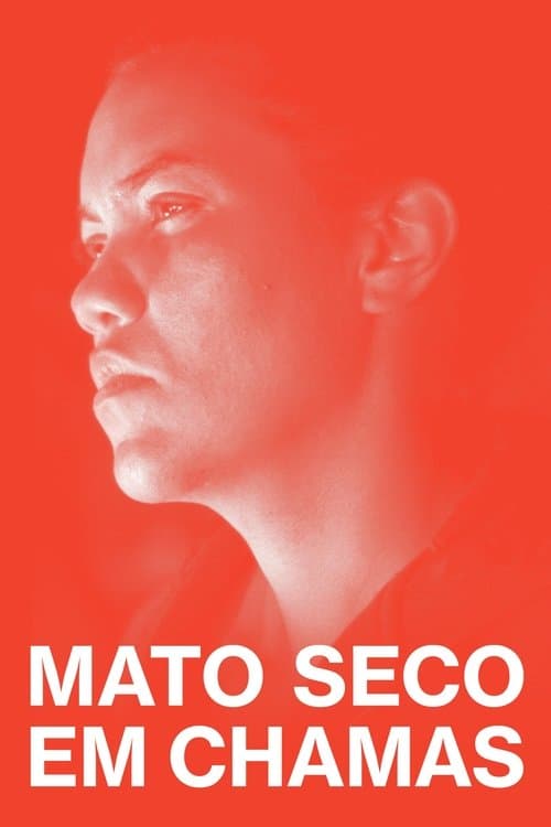 Mato Seco em Chamas poster