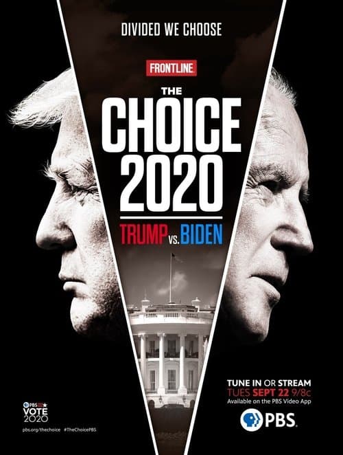 Amerika hat die Wahl: Trump gegen Biden poster