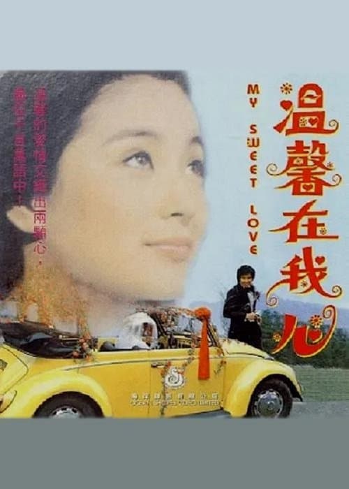 溫馨在我心 poster