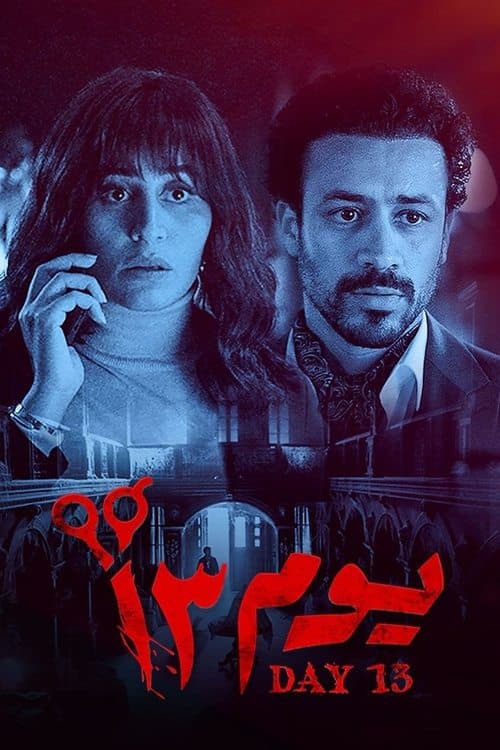 يوم 13 poster