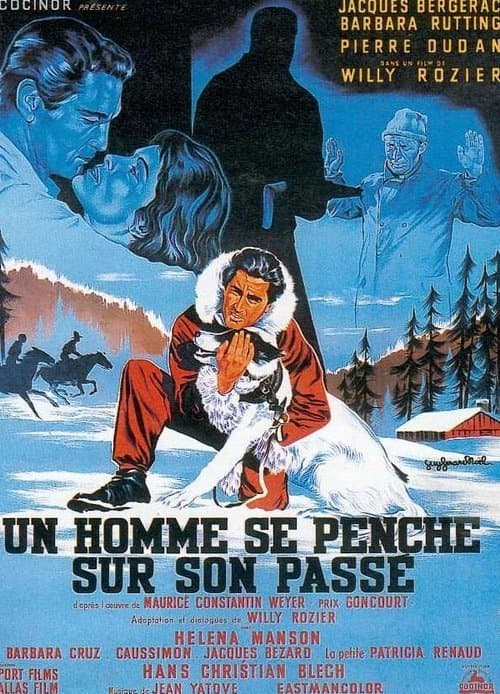 Schwarzer Stern in weißer Nacht poster