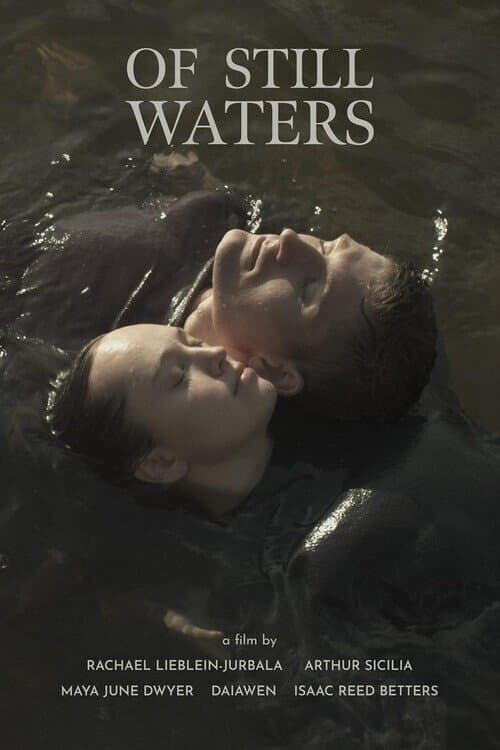 Of Still Waters poster