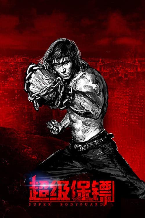 超级保镖 poster