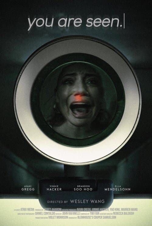 you are seen. poster