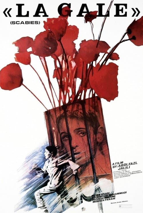 گال poster
