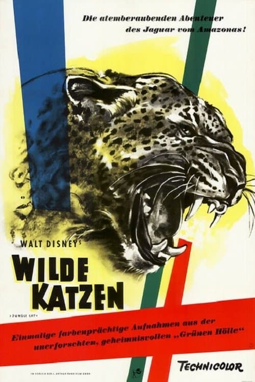 Wilde Katzen poster