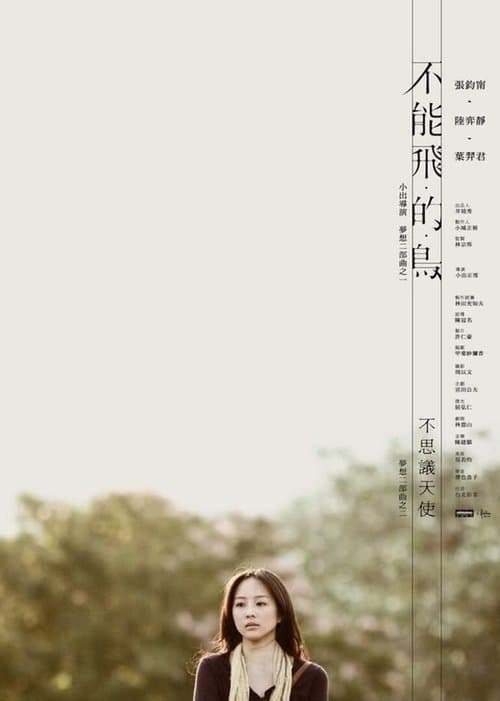 不能飛的鳥 poster