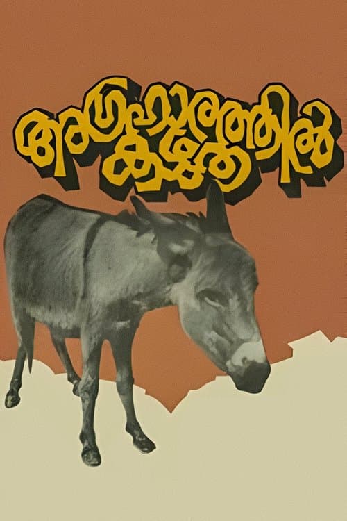 அக்ரஹாரத்தில் கழுதை poster