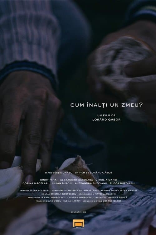 Cum înalți un zmeu? poster
