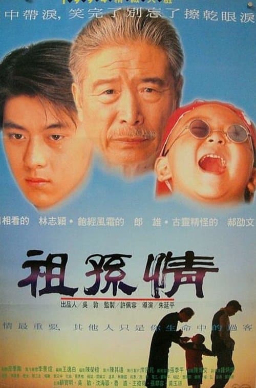 祖孫情 poster