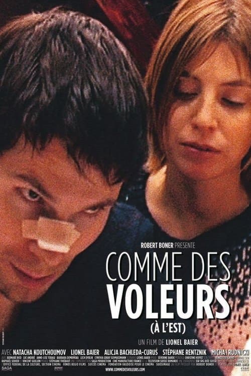 Comme des voleurs (à l'est) poster
