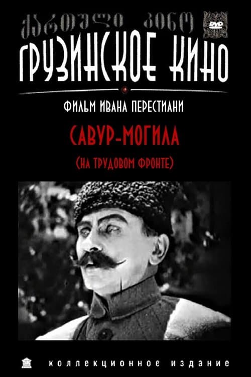 სავურ-მოგილა poster
