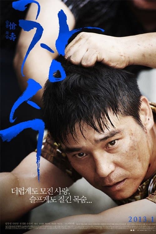 창수 poster