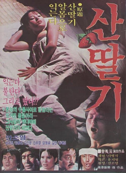 산딸기 poster