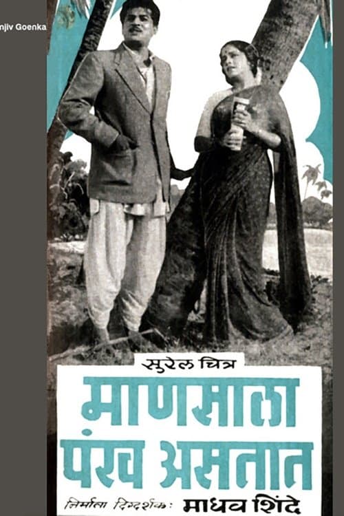 माणसाला पंख असतात poster