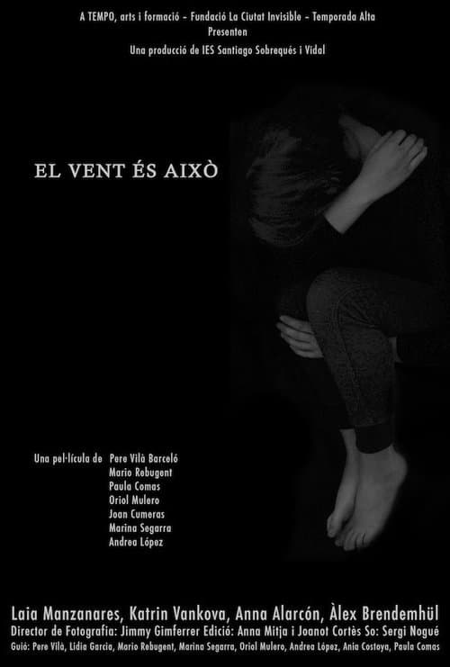 El vent és això poster