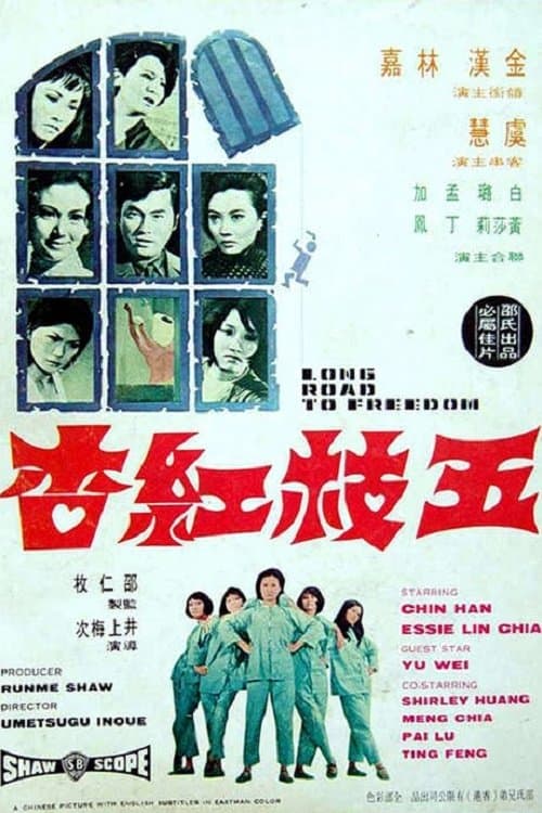 五枝紅杏 poster