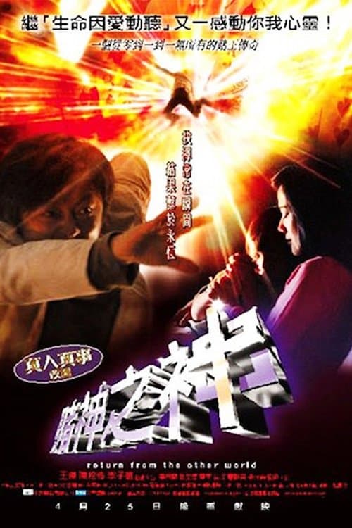 賭神之神 poster