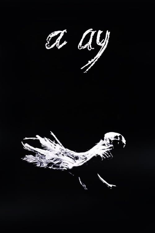 A Ay poster